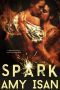 [Ruin Outlaws MC 02] • Spark (Ruin Outlaws MC, #2)